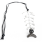 Silver Fishtail Chain